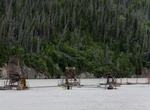 Fish Copper River, Wrangell–St. Elias National Park, Alaska
