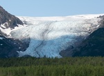 See or Hike on Exit Glacier, Alaska