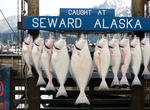 Visit Seward, Alaska