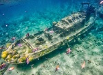 Wreck Dive or Snorkel Curaçao Tugboat, Curaçao
