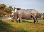 See Cosi's Rhino in Tailem Bend, South Australia