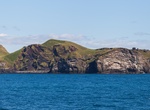 Visit Elliðaey (Björk Island), Iceland