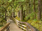 Hike Forest Loop Trail, Bartlett Cove, Alaska