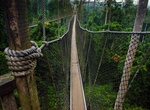 Walk Canopy Walkways at Kakum National Park, Ghana