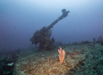 Wreck Dive Aikoku Maru, Chuuk Lagoon, Micronesia