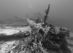 Wreck Dive Chuuk Lagoon (Truk Atoll), Fujikawa Maru, Micronesia