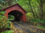 Cross North Fork of the Yachats Bridge, Oregon