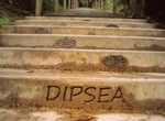 Climb Dipsea Stairs (Dipsea Trail), Mill Valley, California