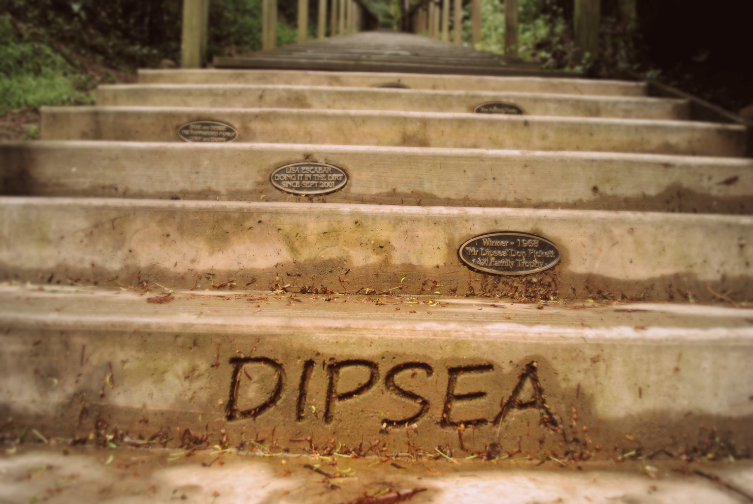 Dipsea Stairs (Dipsea Trail)