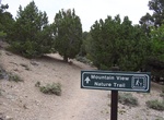 Hike Mountain View Nature Trail, Great Basin National Park, Nevada