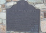 Visit Eichbaum Toll Road Historical Marker, California, Stovepipe Wells, California
