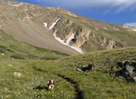 Explore Guanella Pass, Clear Creek County, Colorado
