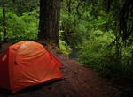 Camp at Limberlost Campground, Oregon