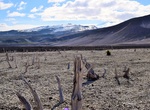 Visit The Ghost Forest of Katmai Pass, Katmai National Park, Alaska