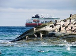 Birdwatch at Seal Islands, South Shetland Islands, Antarctica