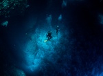Dive Blue Holes (Palau)
