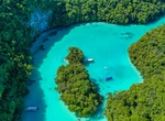 Swim at Milky Way, Koror Island, Palau