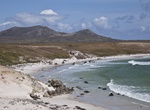 Visit Pebble Island, West Falkland