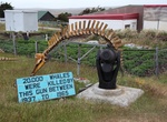 See Say No to Whaling Display, Stanley, Falkland Islands