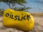 Dive or Snorkel Oil Slick Leap, Bonaire