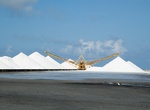 See Cargill Salt Works, Bonaire