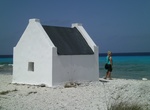 Dive or Snorkel White Slave, Bonaire
