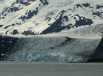 See Surprise Glacier, Prince William Sound, Alaska