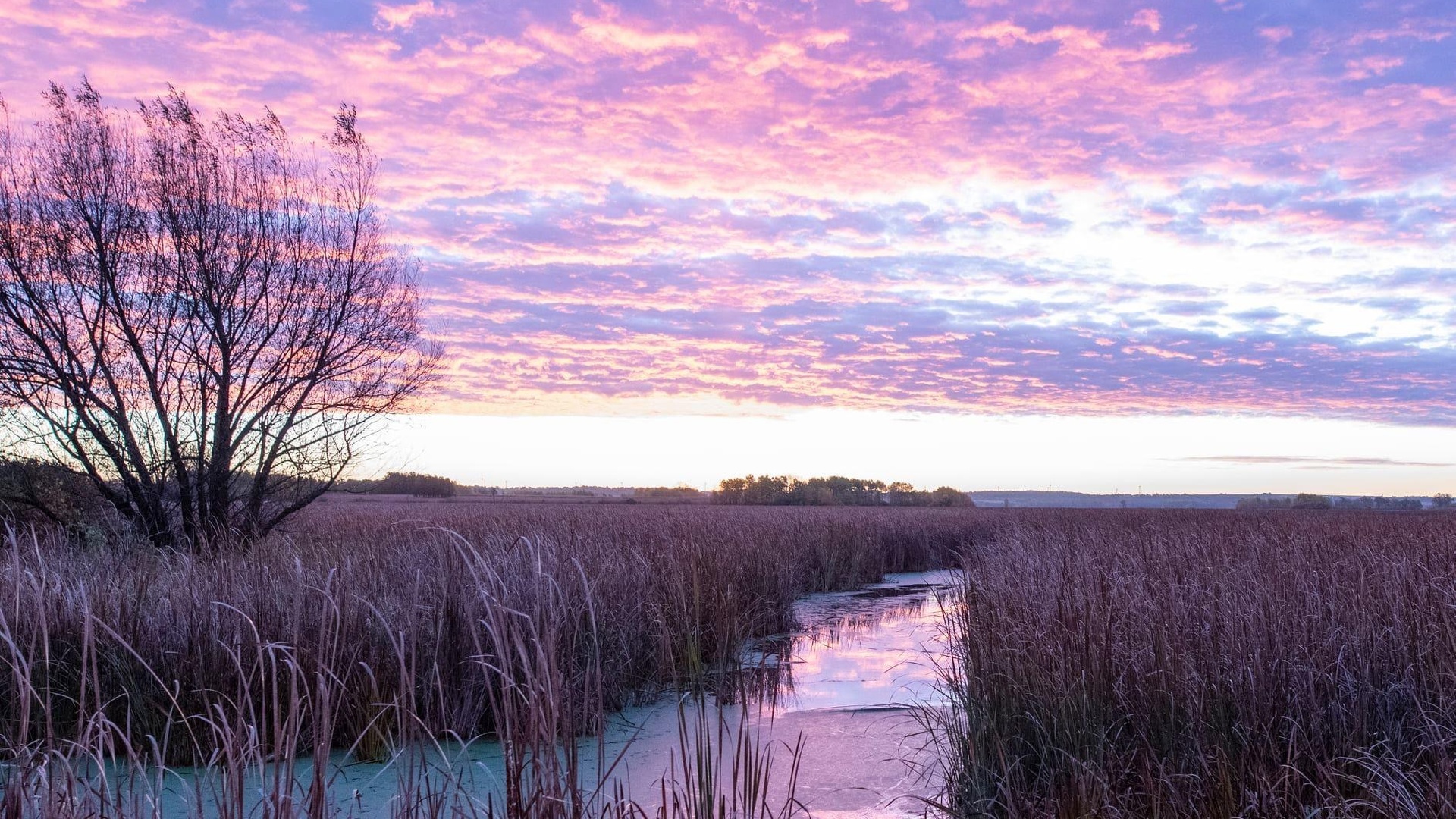 Horicon National Wildlife Refuge in Wisconsin is one of the largest