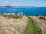 Visit Mana Island, New Zealand