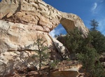 Hike to Sam Pollock Arch, Grand Staircase-Escalante National Monument, Utah