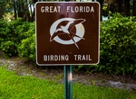 Explore Great Florida Birding Trail, Florida
