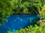 Visit Matevulu Blue Hole, Espiritu Santo, Vanuatu