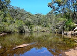 Hike Karloo Pool Track, Royal National Park, Sydney, Australia