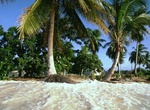 Visit Likiep Atoll, Marshall Islands