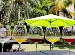 Drink Beer or Wine at Schnebly Redland's Winery, Homestead, Florida