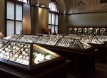 Visit Natural History Museum of Bern, Bern, Switzerland