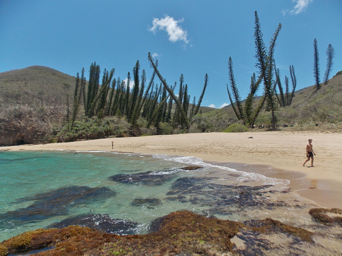 Baie des Tortues (Turtle Bay)