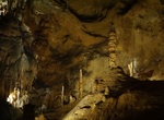Tour Marakoopa Cave, Tasmania, Australia