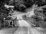 Cross Bridge to Somewhere, New Zealand