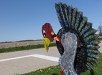 Visit Turkey Tracks, Nilwood, Illinois