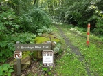 Hike Brooklyn Mine Trail, New River, West Virginia