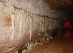 Explore Blanche Cave, Naracoorte, South Australia