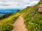 Explore Silver Star Mountain, Skamania County, Washington State