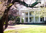 Visit Arlington Antebellum Home & Gardens, Birmingham, Alabama