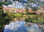 Visit Shofuso Japanese House and Garden, Philadelphia