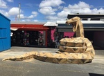 See Rob the Snake, Gold Coast, Australia