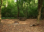 Camp at Glade Creek Campground, New River, West Virginia
