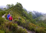 Hike Donaghys Hill Nature Trail, Franklin-Gordon Wild Rivers National Park, Tasmania, Australia