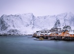 Visit Sakrisøy, Lofoten Islands, Norway