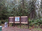 Camp Falls Creek Campground, Quinault, Washington
